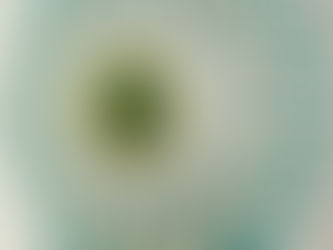 HEALTHY KIDS, HEALTHY ADULTS 