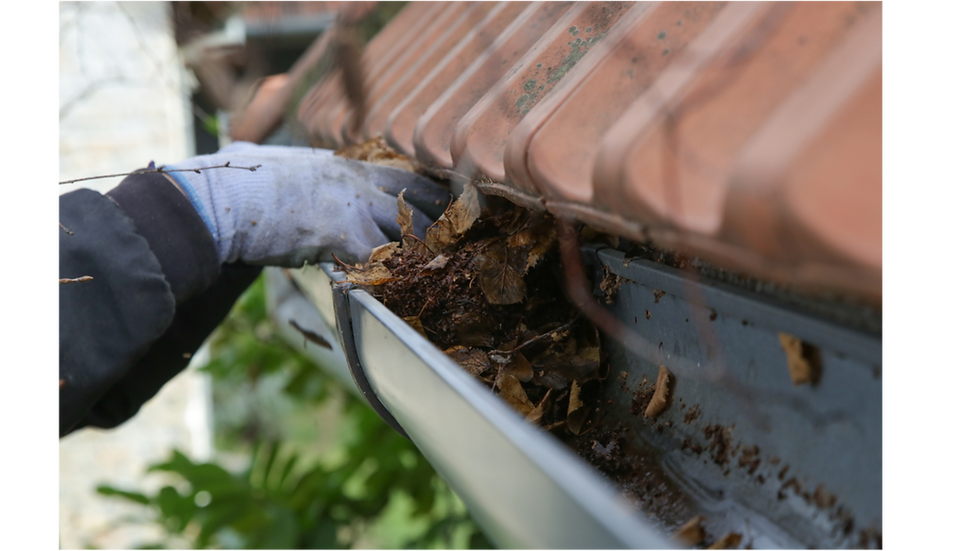 Gutter Cleaning