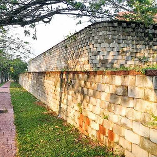 Image by Odiseo Castrejon