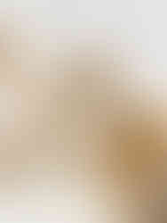 Soundlocket packaging, wood box, cushioned with Woamy padded flexible sheets