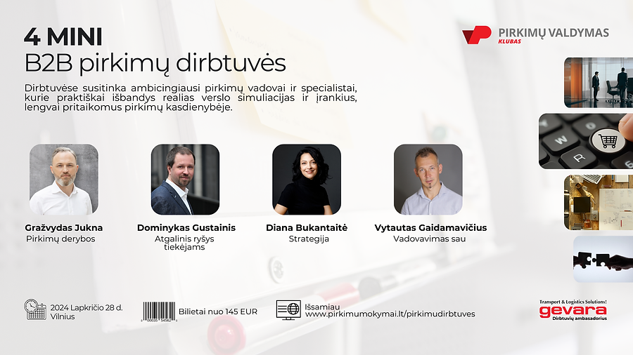 Mini B2B pirkimų dirbtuvės