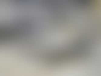 wheat cross-linked starch High Capacity Purification Refining Unit