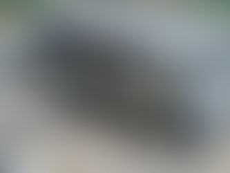 B70 ASTM-BIS Animal Fat Laboratory Milling Bio Diesel Plant