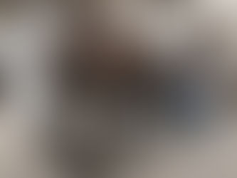 Novel ETP SS316 Self Cleaning Dewatering Sludge Decanter