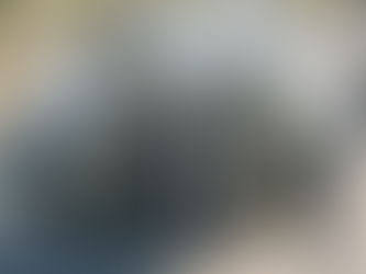 B70 Green Animal Fat Automatic Refining BioDiesel Plant