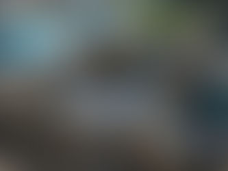 Novel ETP SS304 Industrial Dehydrating Sludge Centrifuge