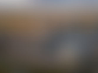 rice glucose syrup High Capacity Filtration Processing Unit