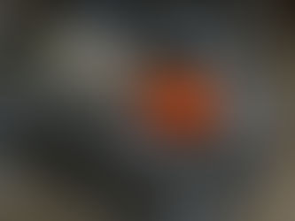 WHIRLER Sewage SS316 Self Cleaning Drying Sludge Centrifuge