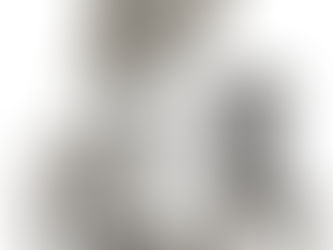 WHIRLER GMP SS316 High Performance Bag Pulling Vertical Basket Centrifuge