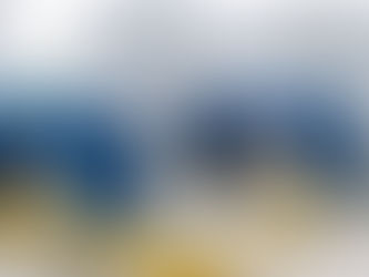 Repair CETP SS304 Industrial Dewatering Sludge Centrifuge