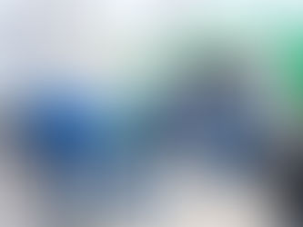 WCPL Sewage Hastelloy Continuous Drying Decanter Centrifuge