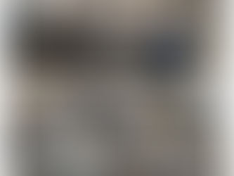 WHIRLER STP SS316 Continuous Drying Sludge Belt Press