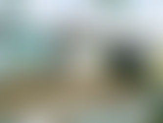 Service STP SS316 Industrial Drying Decanter Centrifuge Press