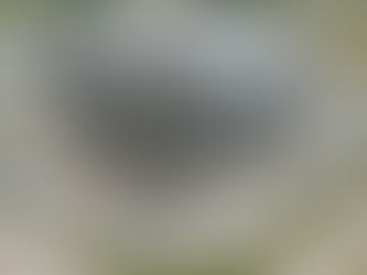 Upgrade BIS-15607 Animal Fat Pilot Packaging Bio Diesel Plant