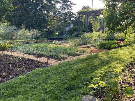 Vegetable-Garden-Organic-Lawn-Fertilizer