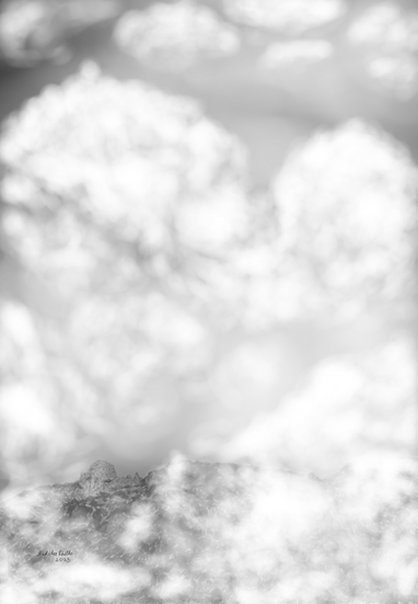 Clouds move slowly across the landscape, partially revealing and concealing the terrain below. This piece captures the sensation of elevation — standing above the valley and watching forms emerge through shifting layers of mist.
