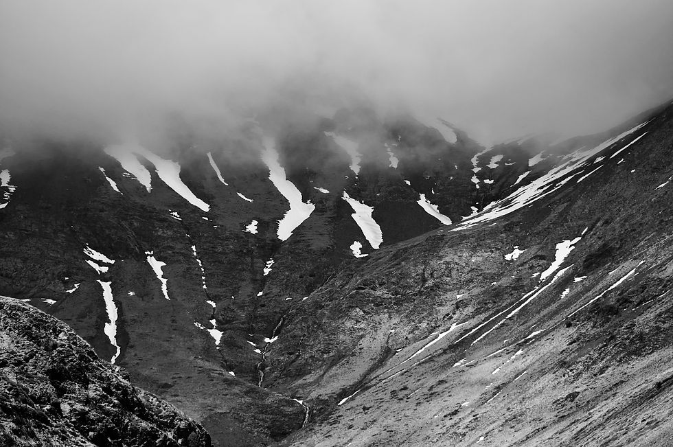 _DSC2179.jpeg