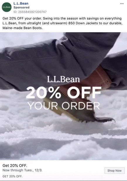 L.L. Bean