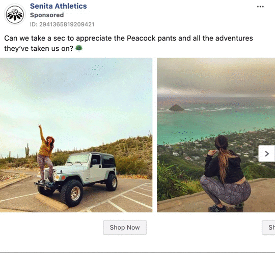 Senita Athletics