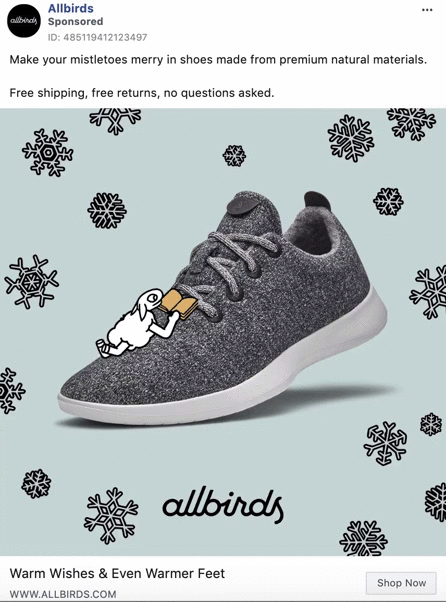 Allbirds