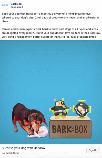 BarkBox