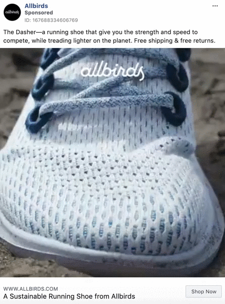 Allbirds