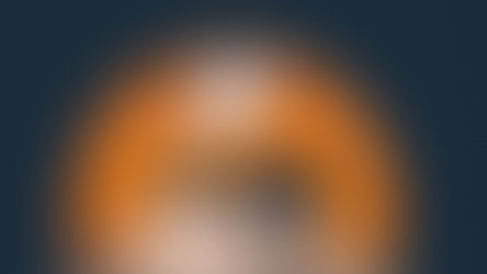 New MR Contrast Agents. The Devil you know vs the Devil you don't know.