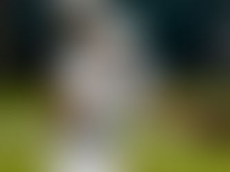 Waiver Wire Adds for Week 7