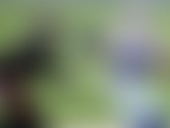 NFL Buy Low/Sell High - Week 6