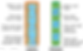 Xylem-and-Phloem_edited_edited.png