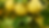 GameChanger Citrus.png