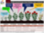 693083593_830455363045624_5857727361910014874_n.jpg