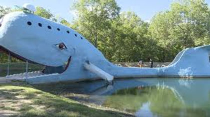Blue Whale Catoosa