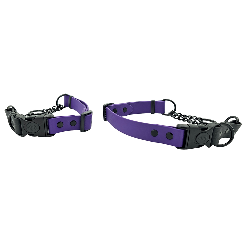 Thumbnail: Martingale Collar - 25mm