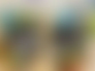 Gabonetako Hiri-Koloniak 2025-2026: argazki batzuk! / Colonias Urbanas de Navidad 2025-2026: ¡algunas fotos!