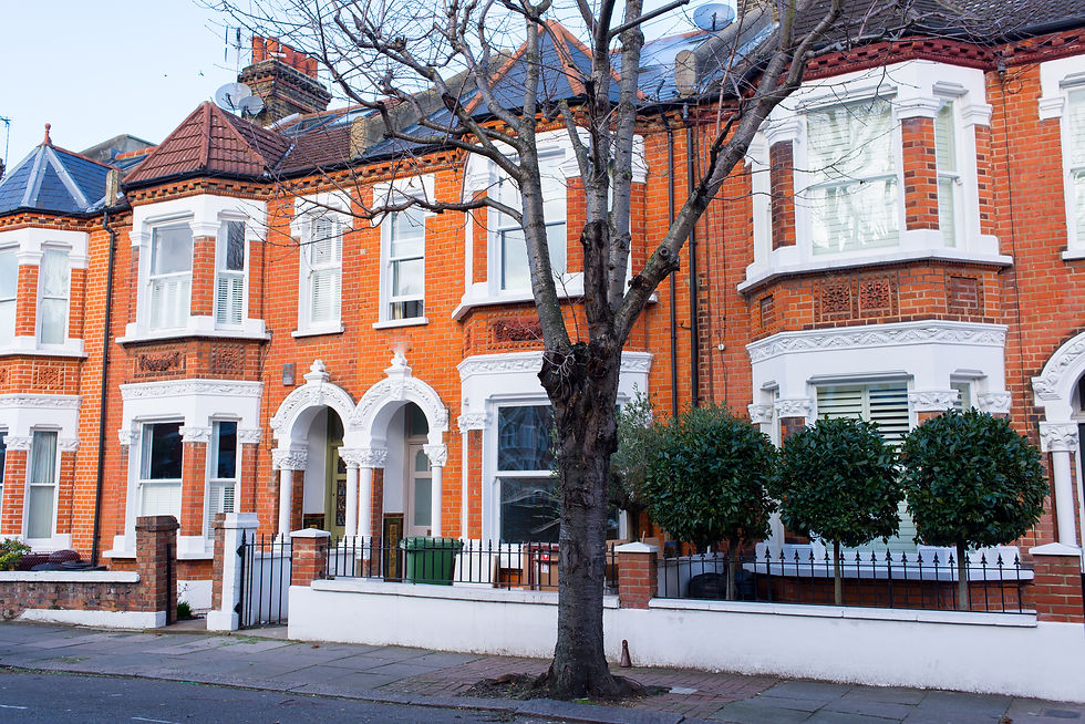 Buying a Property Near Mature Trees: Should Cracking and Subsidence Concern You?