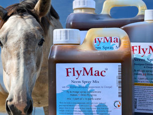 Horse Fly Spray Concentrate FlyMac