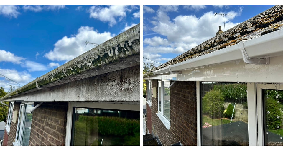 gutter cleaning Farnham, Petersfield, Haslemere, Alton and Portsmouth