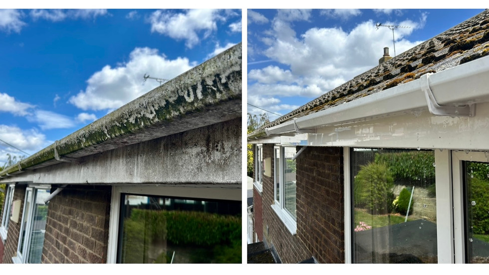 gutter cleaning Farnham, Petersfield, Haslemere, Alton and Portsmouth