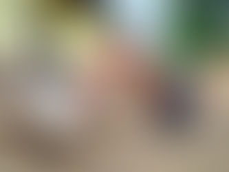 Party Wall Disputes: How Professional Surveys Keep Renovations Smooth and Neighbourly Relations Strong