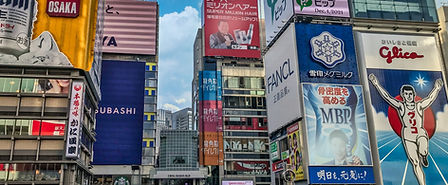 Small-group Dotonbori and Namba walking tour
