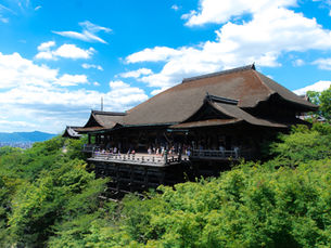 Top 5 Free Walking Tours in Kyoto for Any Season in Japan