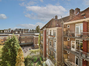 RICS HomeBuyer or Building Survey Tottenham, Tottenham Surveyor