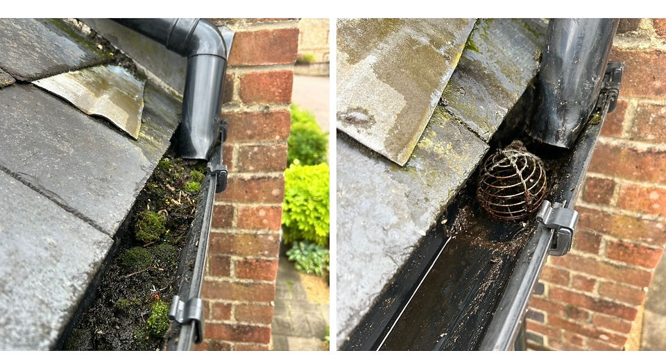 gutter cleaning Farnham, Petersfield, Haslemere, Alton and Portsmouth