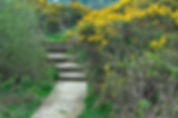 Community Land Project Arran, Scotland
