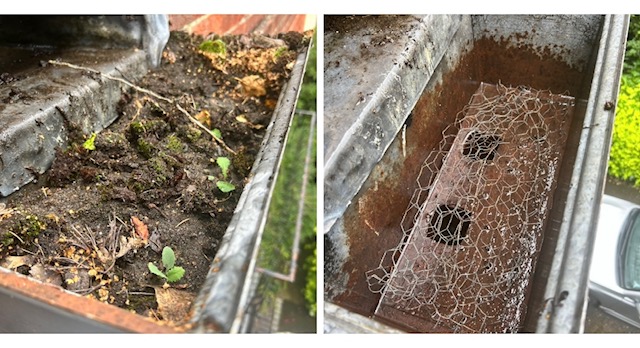 gutter cleaning Farnham, Petersfield, Haslemere, Alton and Portsmouth