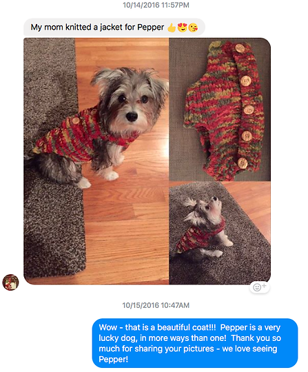The Top Dog Store