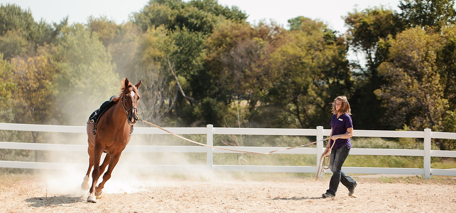 122_anoka-equine_2012.JPG