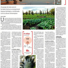 El lago vive en Xochimilco