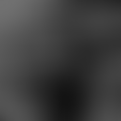 Compositor e produtor inglês Mick Johnson lança novo single "2024"